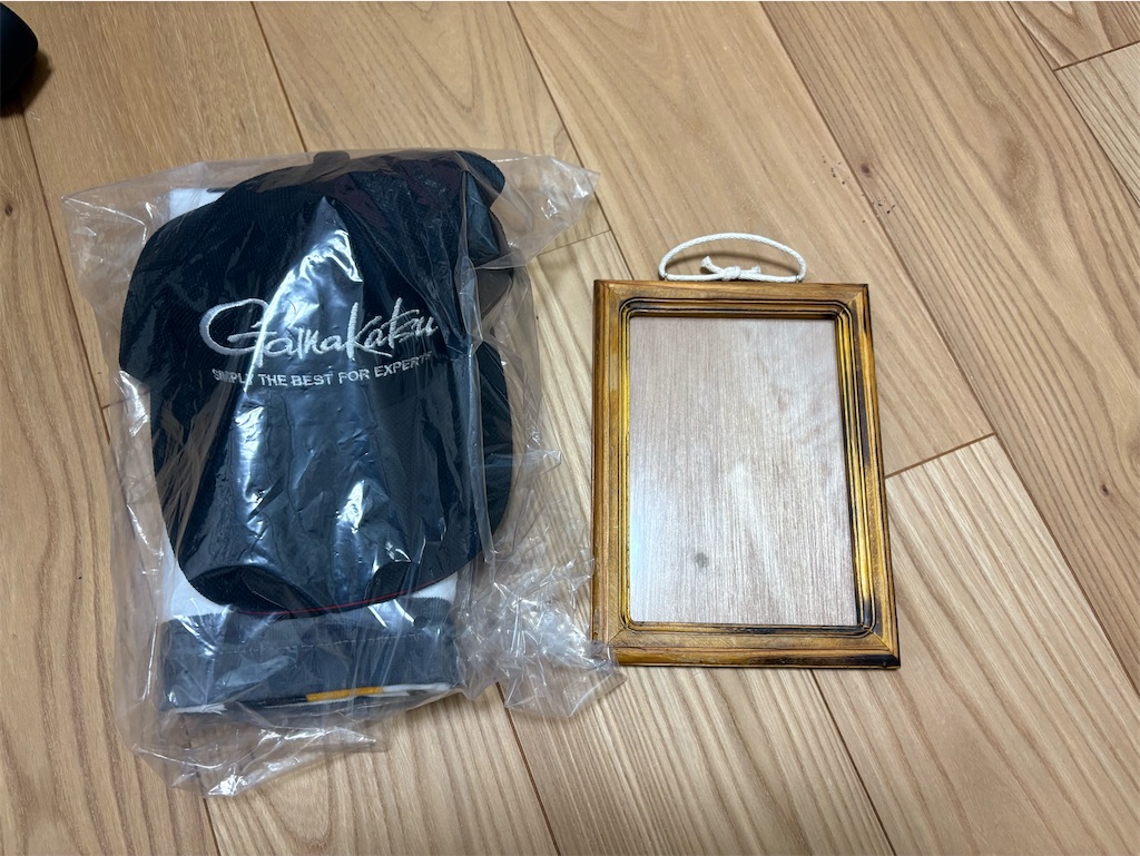 f:id:isohae:20251121213934j:image