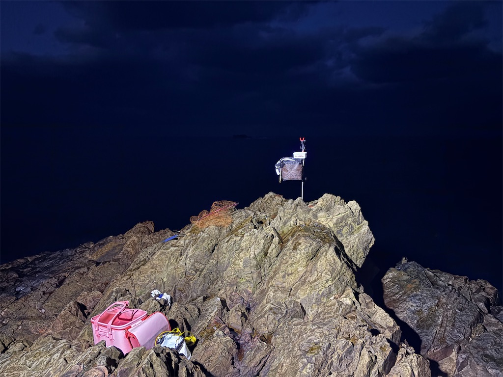 f:id:isohae:20251229180648j:image