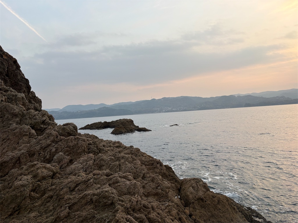 f:id:isohae:20251231093230j:image