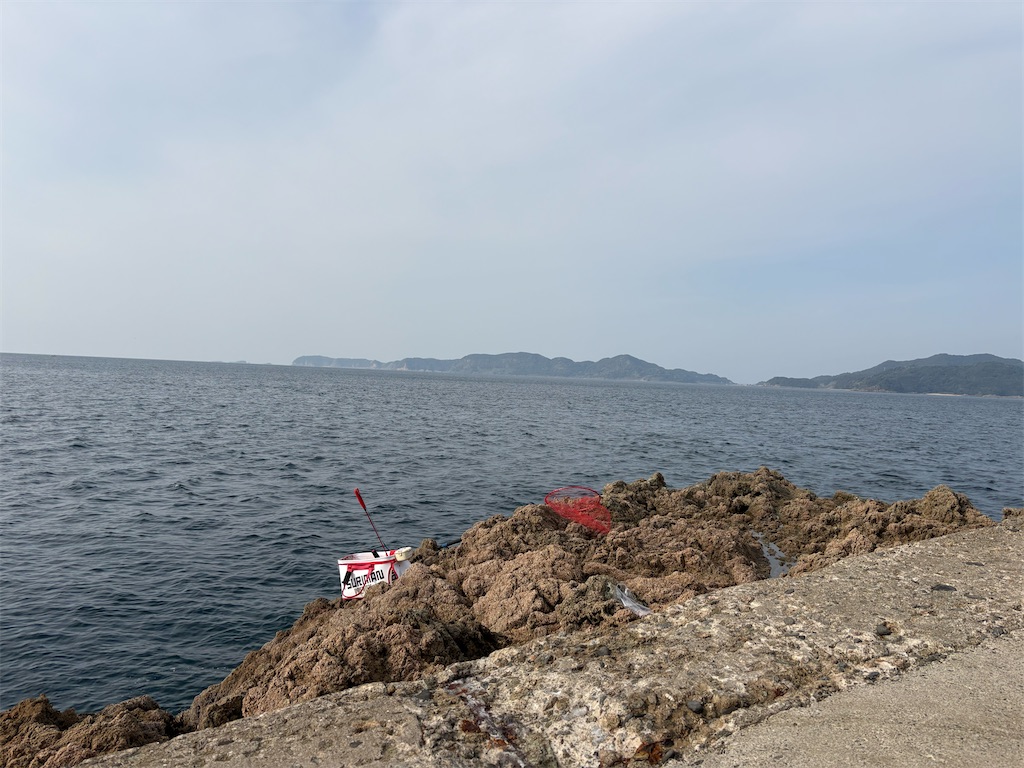 f:id:isohae:20251231175102j:image