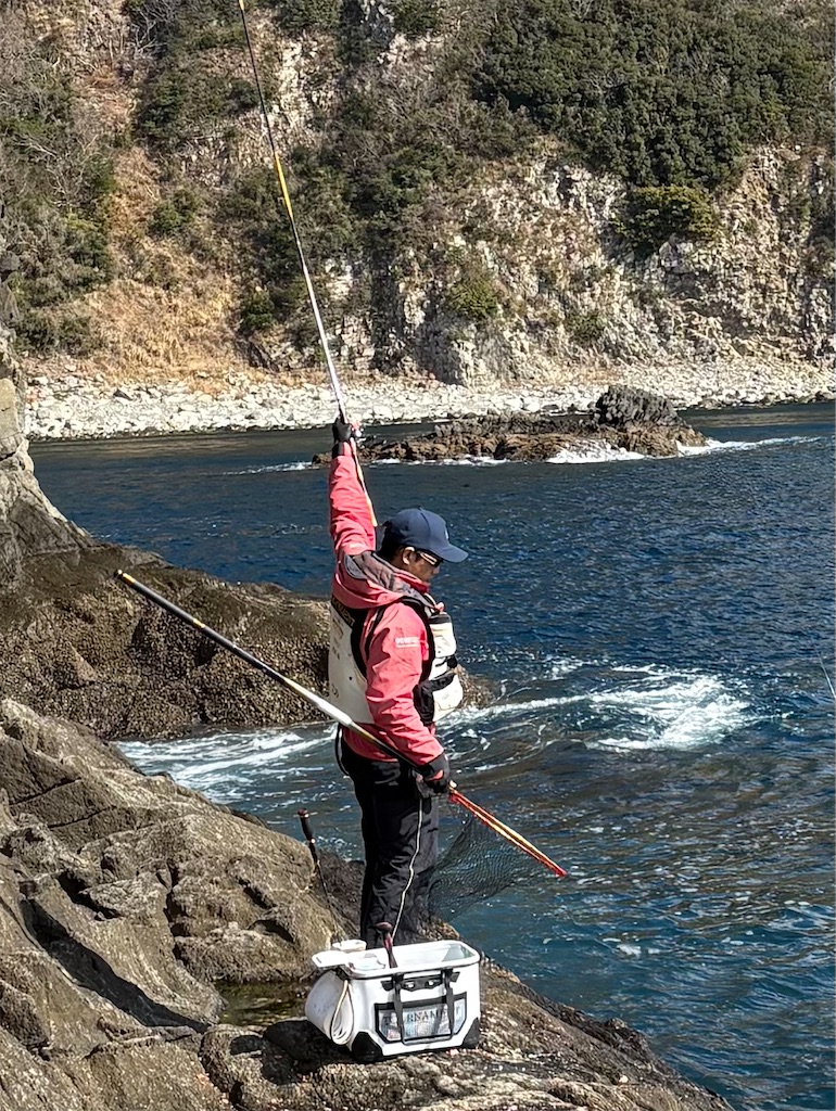 f:id:isohae:20260214052105j:image