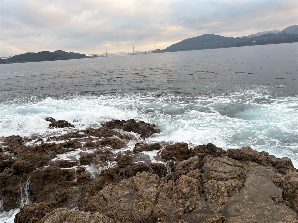 f:id:isohae:20260218191412j:image f:id:isohae:20260218191412j:image