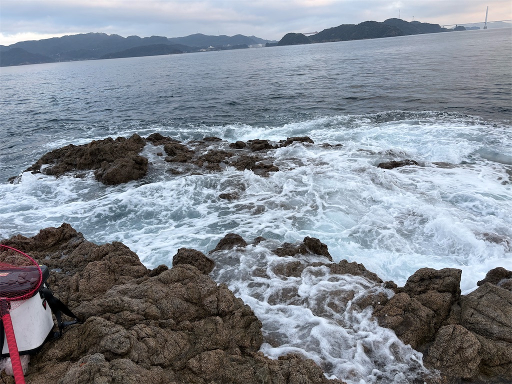 f:id:isohae:20260218191416j:image f:id:isohae:20260218191416j:image