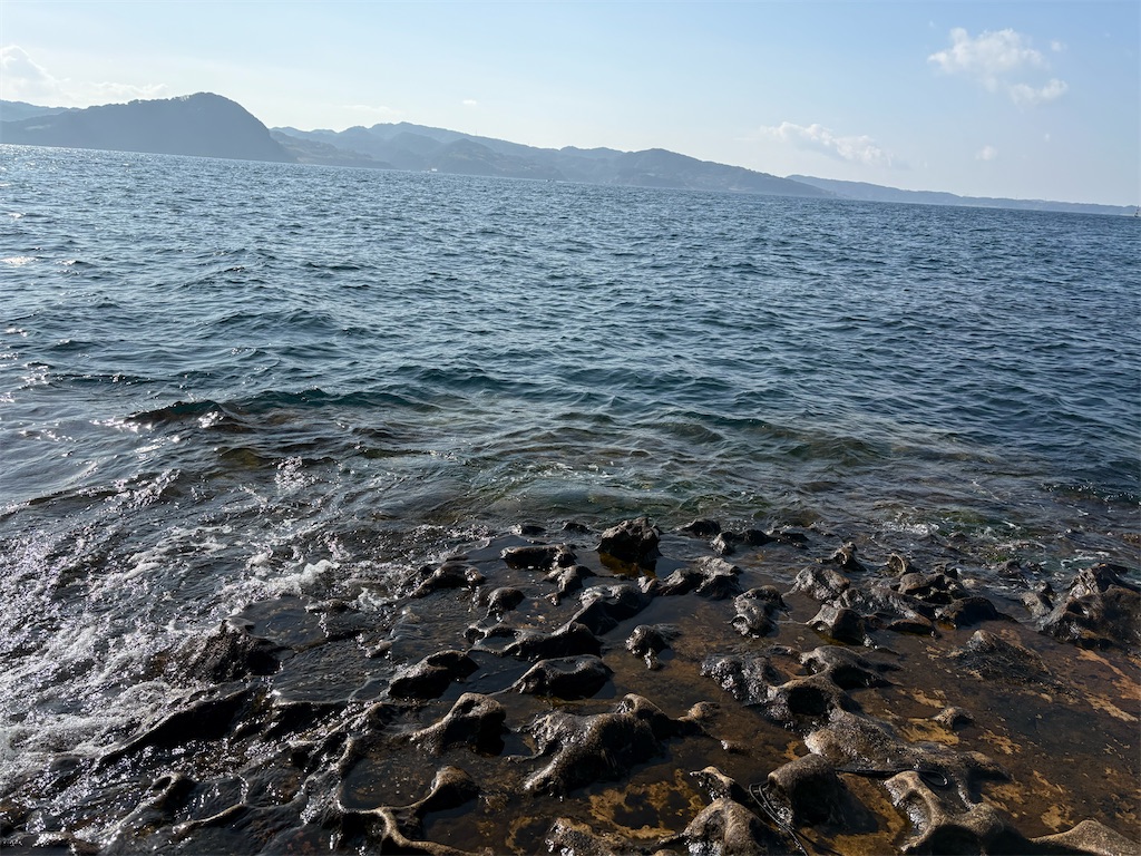 f:id:isohae:20260224193911j:image f:id:isohae:20260224193911j:image