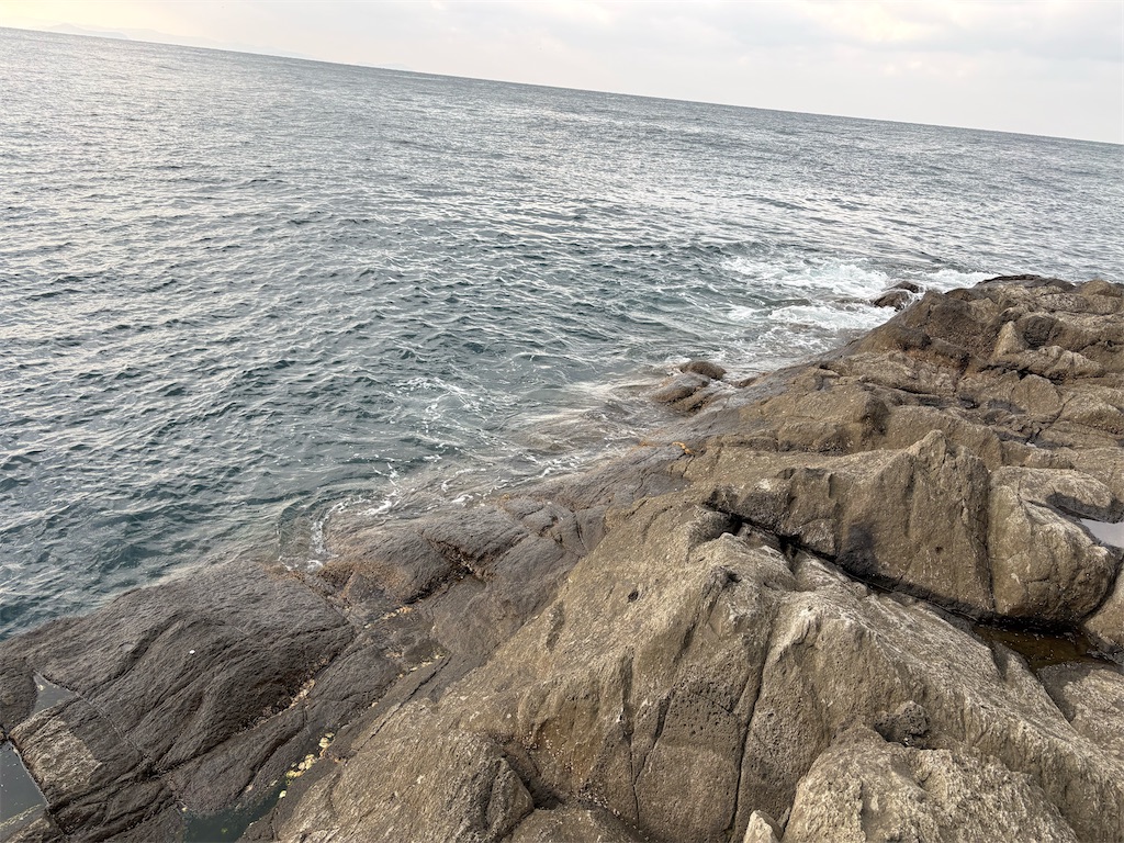f:id:isohae:20260312064601j:image