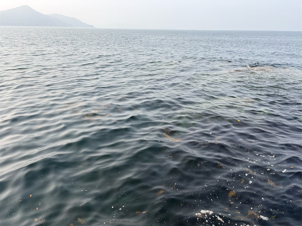 f:id:isohae:20260402153750j:image