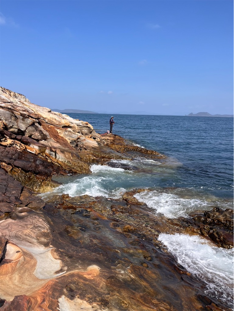 f:id:isohae:20260409194043j:image