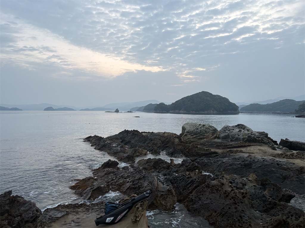 f:id:isohae:20260414051443j:image f:id:isohae:20260414051443j:image
