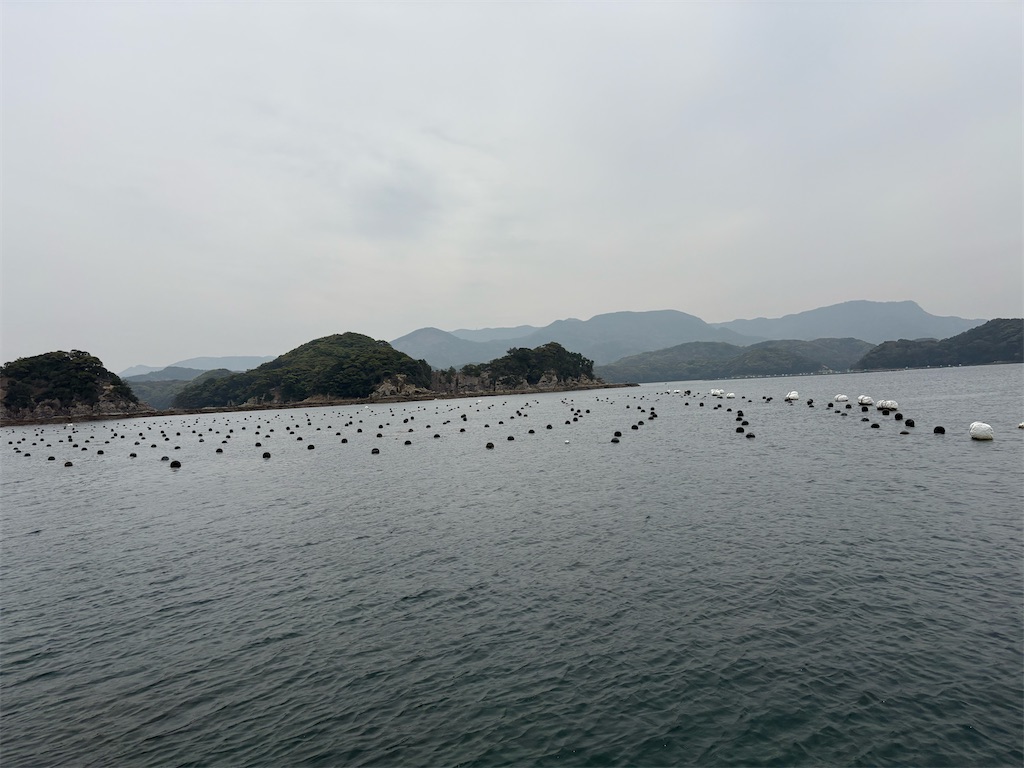 f:id:isohae:20260415053108j:image f:id:isohae:20260415053108j:image