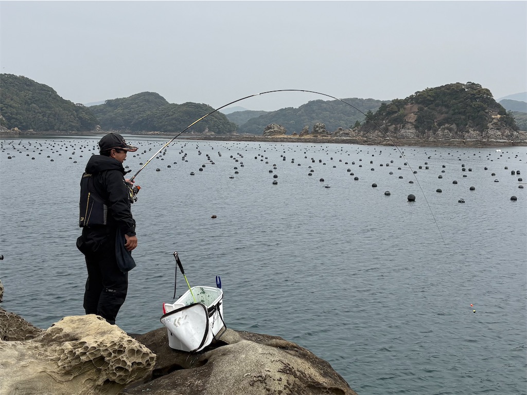 f:id:isohae:20260415053239j:image f:id:isohae:20260415053239j:image