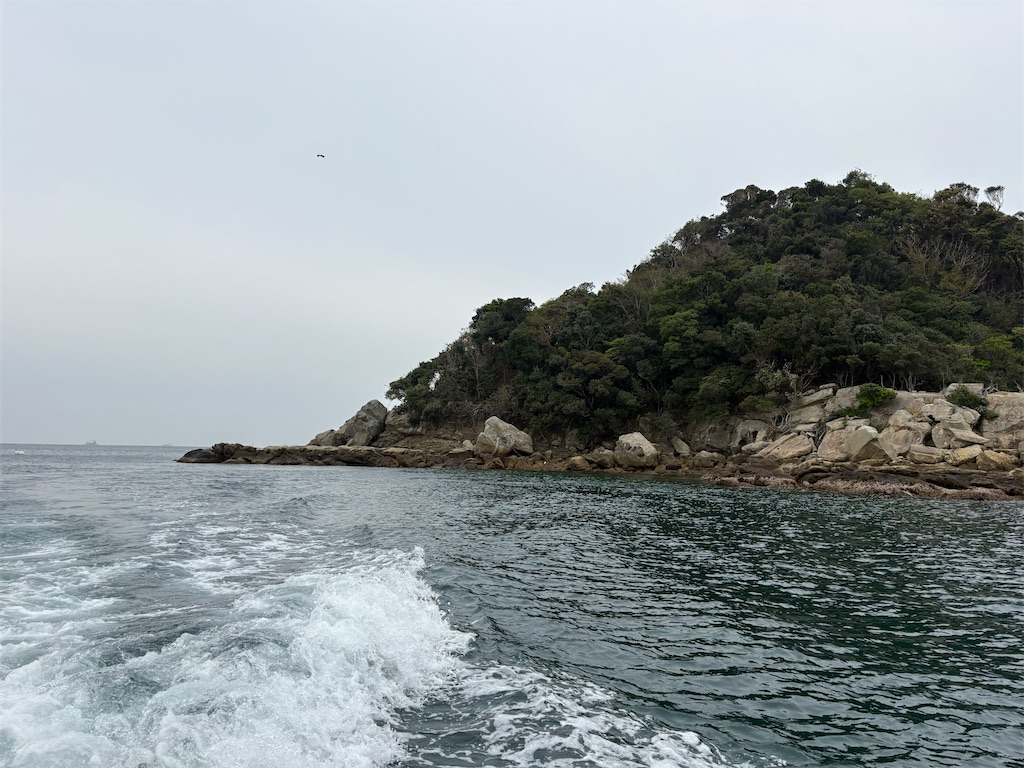 f:id:isohae:20260415053430j:image f:id:isohae:20260415053430j:image