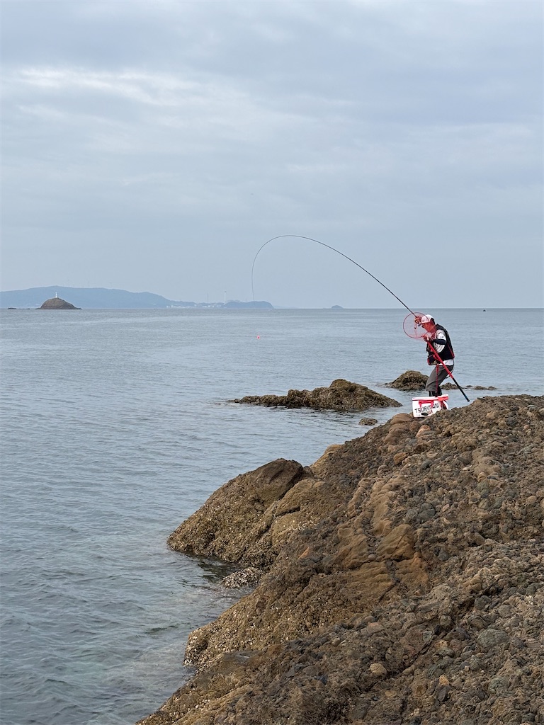 f:id:isohae:20260527074326j:image