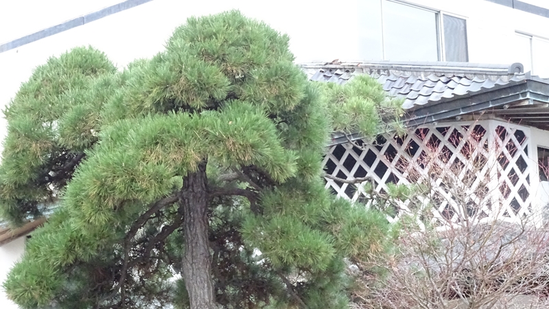f:id:isoisoplus:20141124084757j:image:w600