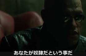 f:id:isoladoman:20210815174043j:plain
