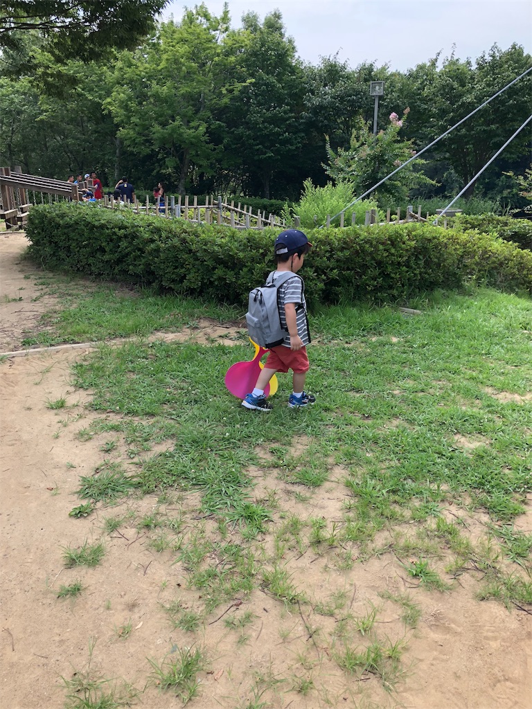 f:id:isomemayu:20180717095430j:plain f:id:isomemayu:20180717095430j:plain