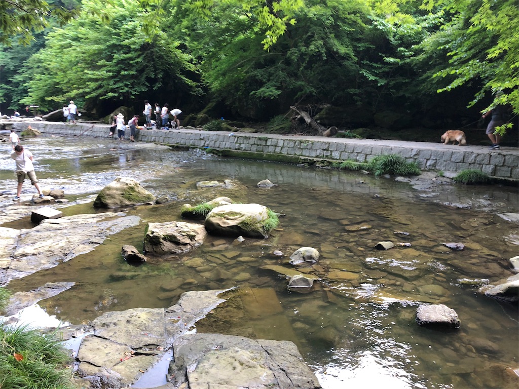 f:id:isomemayu:20180717095451j:plain f:id:isomemayu:20180717095451j:plain