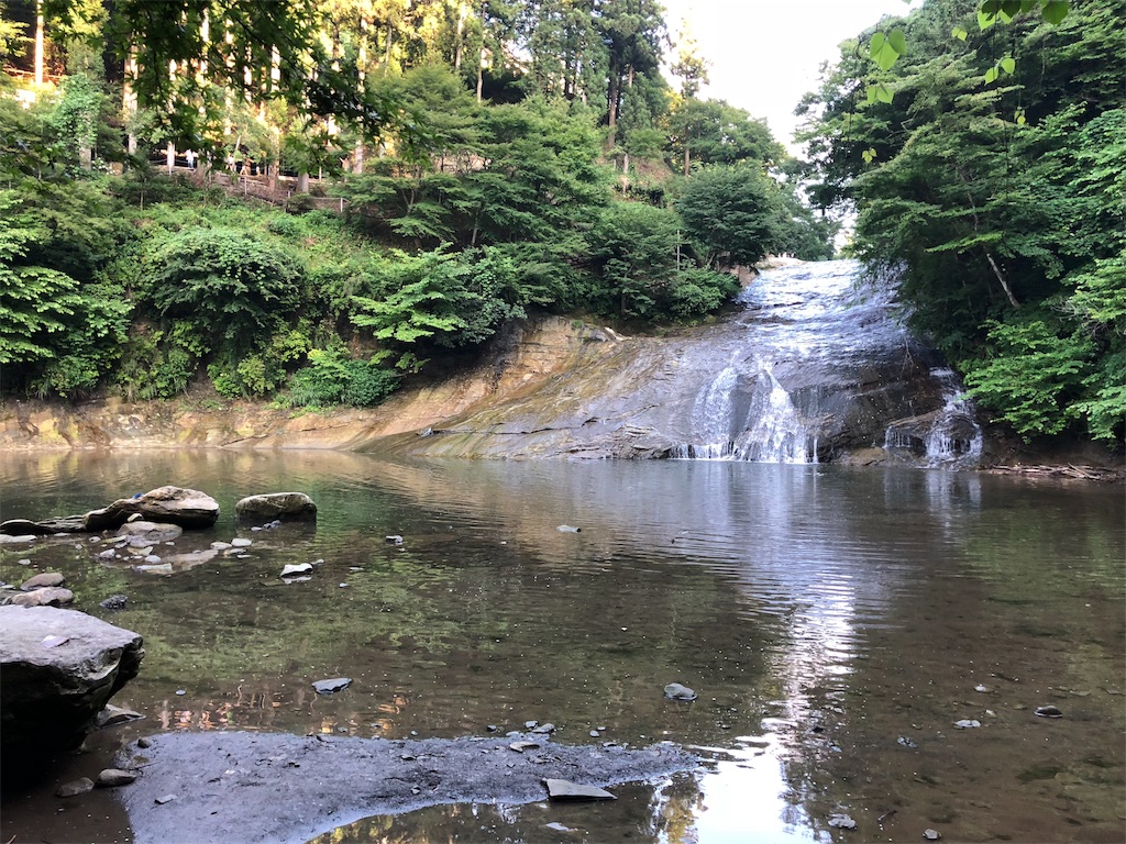 f:id:isomemayu:20180717095552j:plain f:id:isomemayu:20180717095552j:plain
