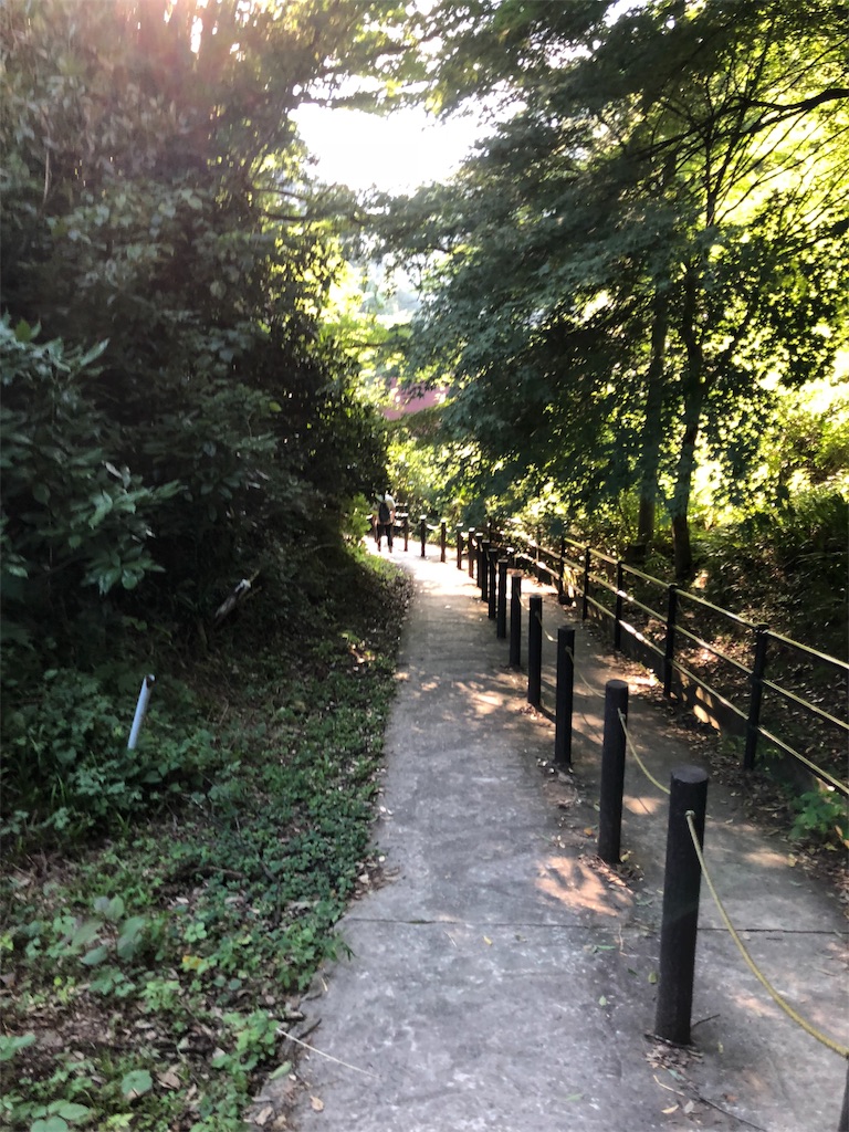 f:id:isomemayu:20180717095559j:plain f:id:isomemayu:20180717095559j:plain