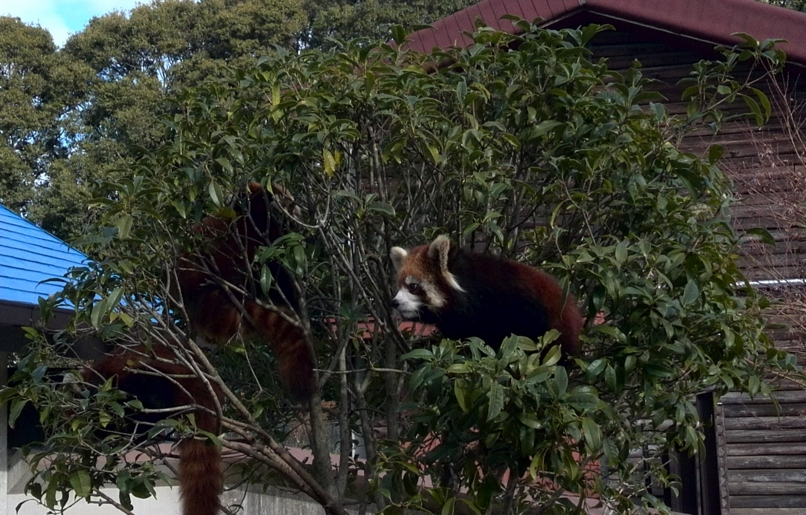 f:id:isomi:20131208164032j:image:w640