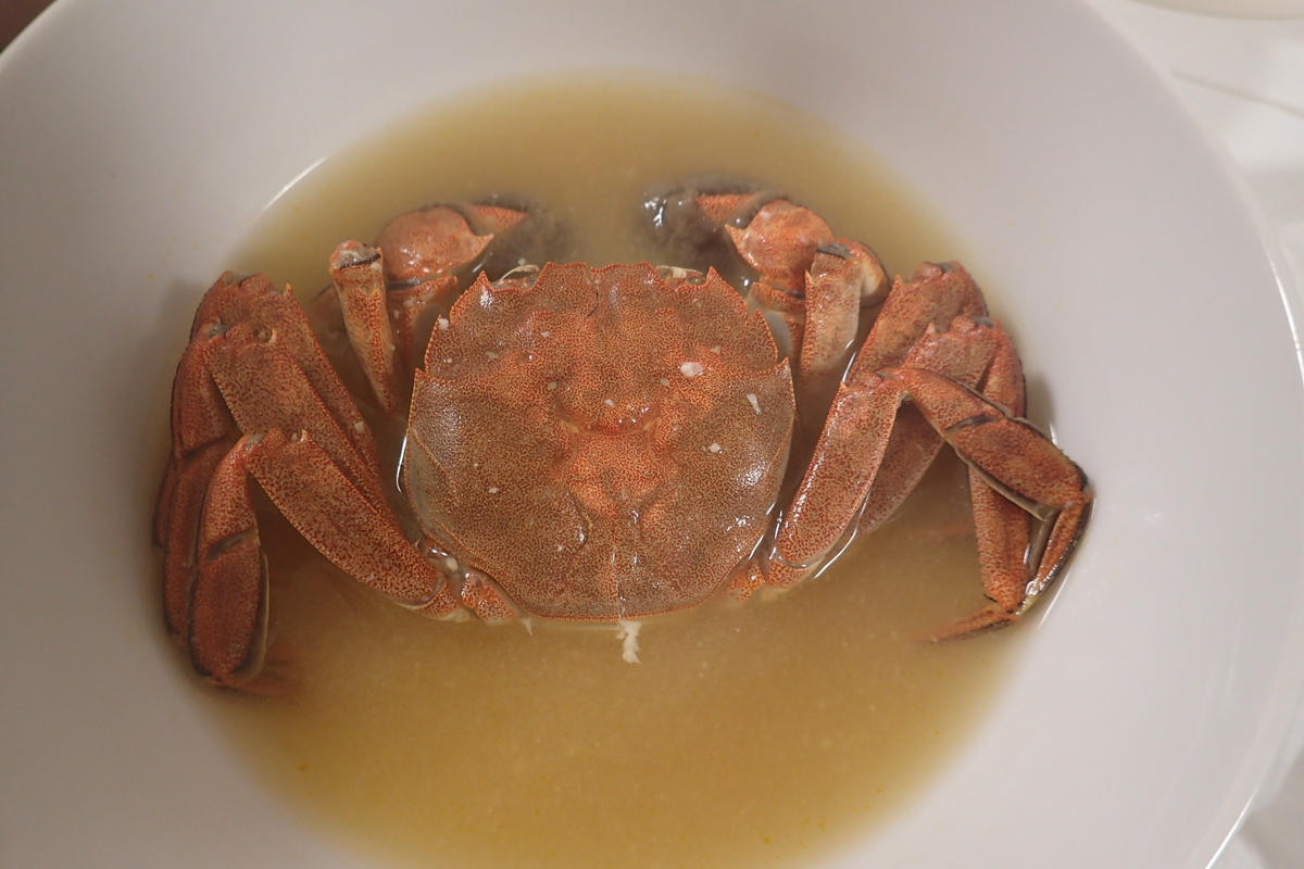 モクズガニ おとうさん これ食べれるの モクズガニ おとうさん これ食べれるの