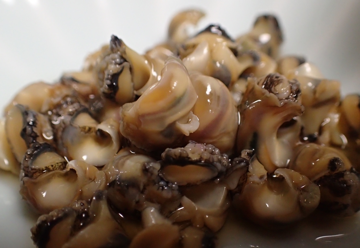イボニシ おとうさん これ食べれるの イボニシ おとうさん これ食べれるの