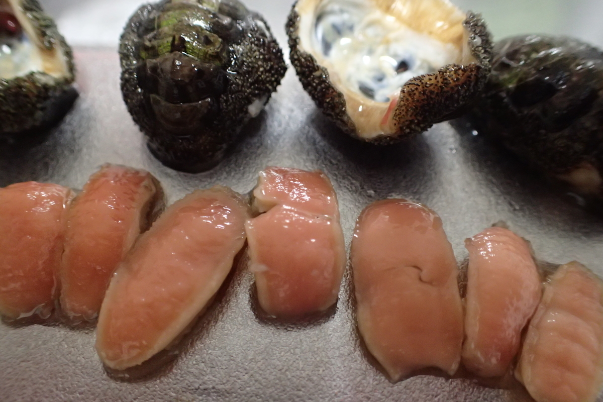 ヒザラガイ おとうさん これ食べれるの
