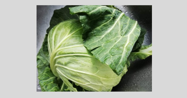 f:id:isoos:20211103134859j:image