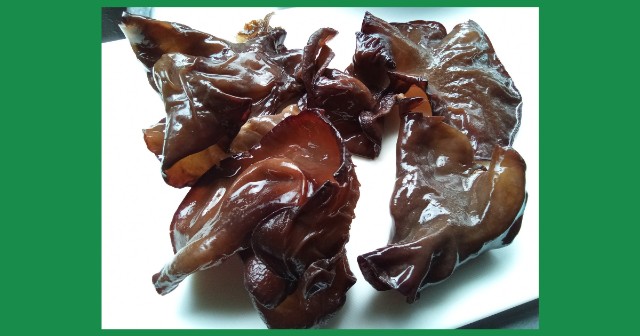 f:id:isoos:20211202194350j:image