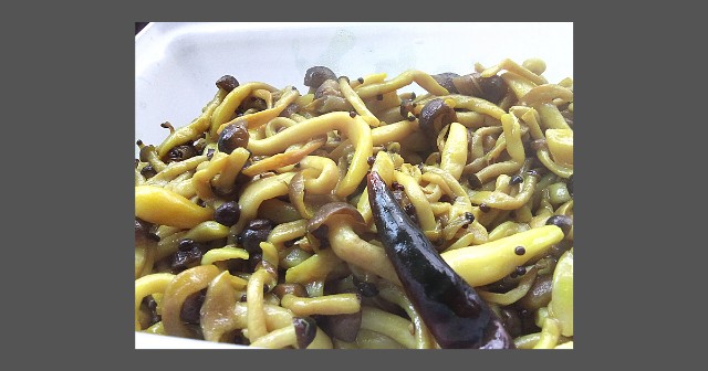 f:id:isoos:20220129094246j:image