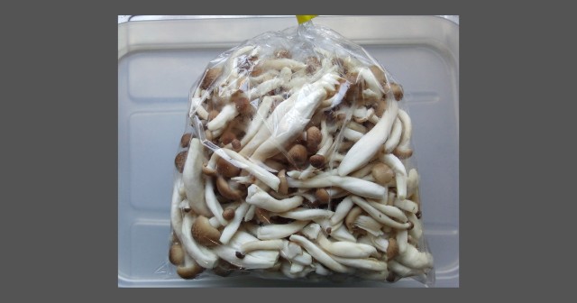 f:id:isoos:20220129094303j:image