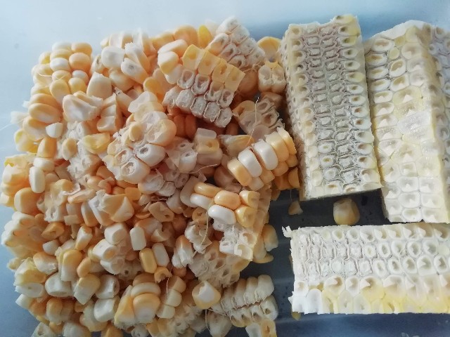 f:id:isoos:20220809061652j:image