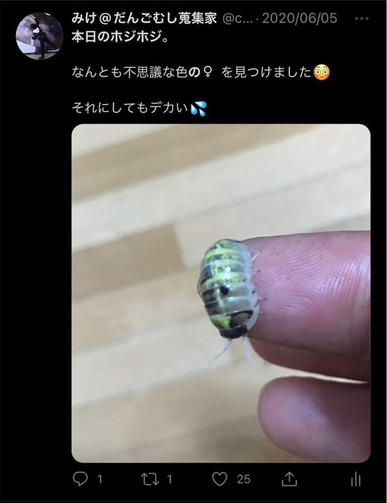 f:id:isoport:20230107170509j:image