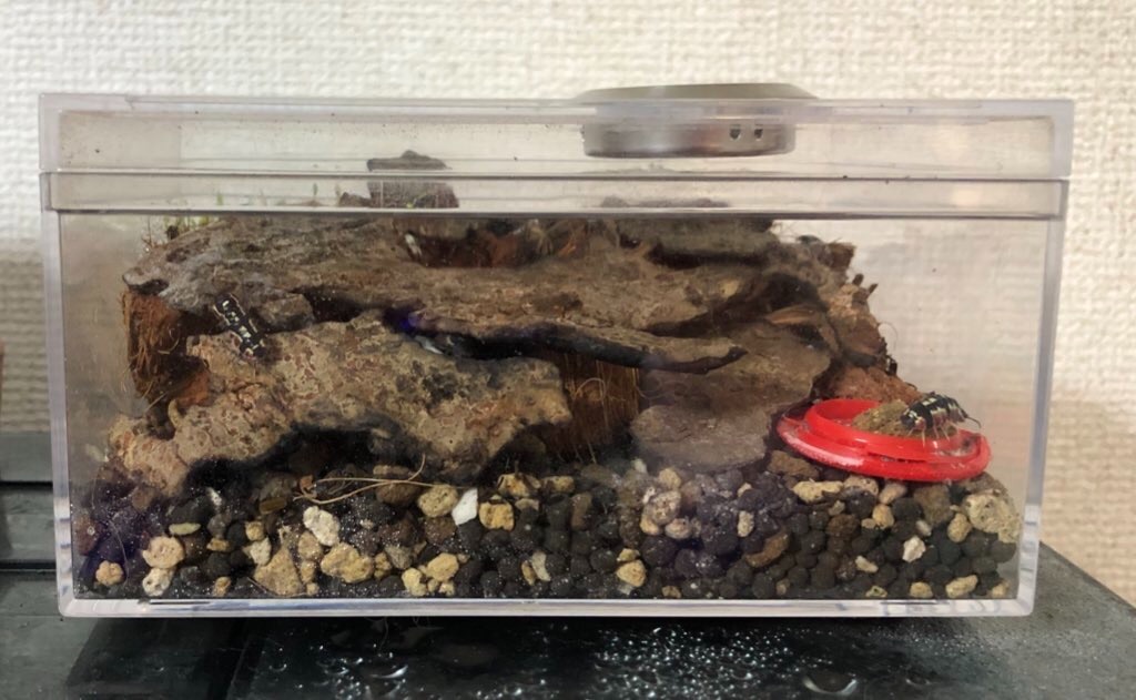 f:id:isoport:20230109035500j:image