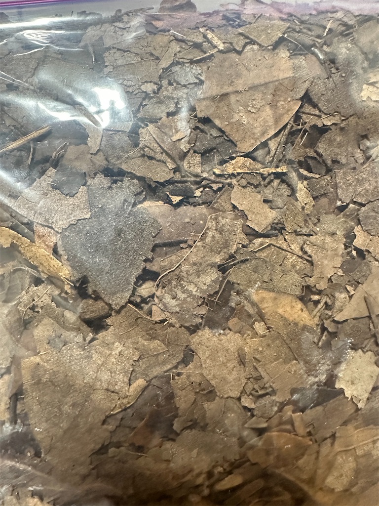 f:id:isoport:20230522161927j:image