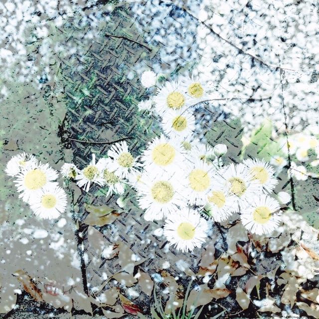 f:id:isora3:20190504180546j:plain f:id:isora3:20190504180546j:plain