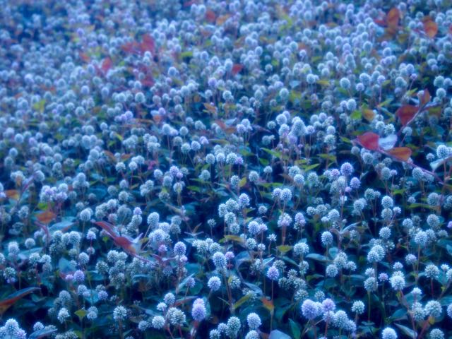 f:id:isora3:20190511185053j:plain f:id:isora3:20190511185053j:plain