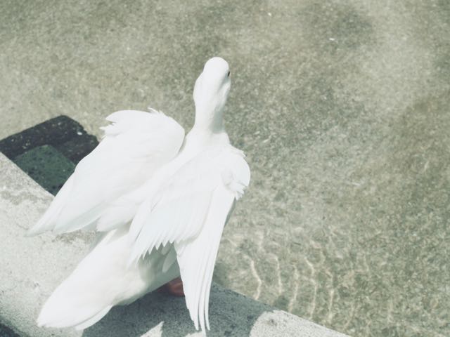 f:id:isora3:20190521174219j:plain f:id:isora3:20190521174219j:plain