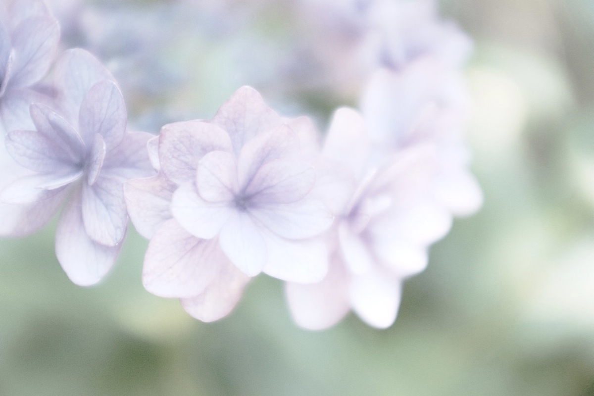 f:id:isora3:20190613164624j:plain