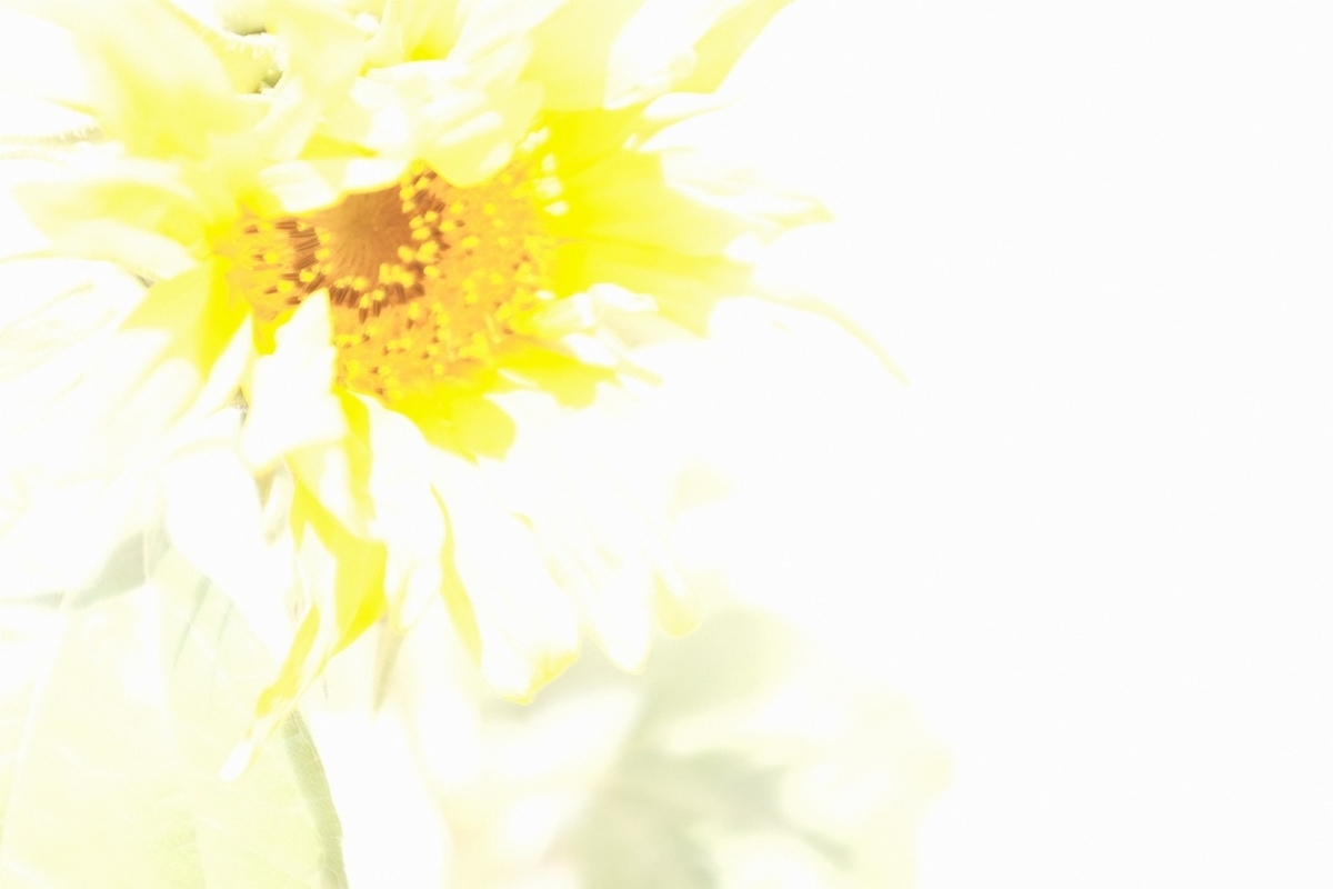 f:id:isora3:20190626185309j:plain