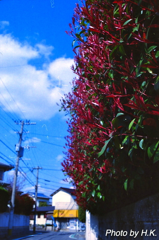 イメージ 5