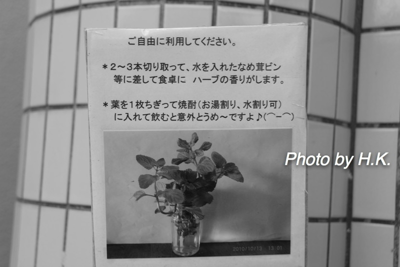 イメージ 10