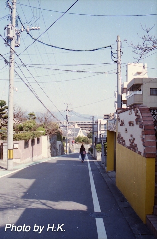 イメージ 4