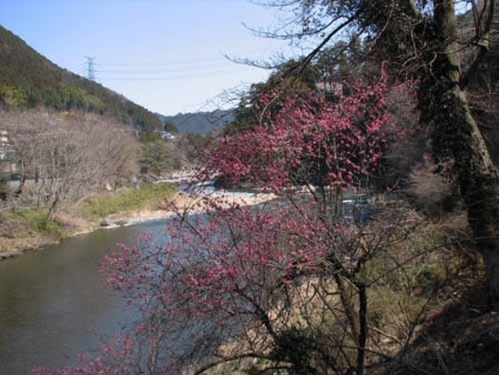 f:id:isoroku0723:20140324122808j:image f:id:isoroku0723:20140324122808j:image