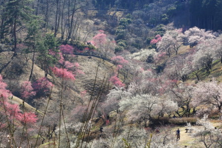 f:id:isoroku0723:20140324131418j:image f:id:isoroku0723:20140324131418j:image