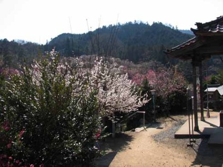 f:id:isoroku0723:20140324134936j:image f:id:isoroku0723:20140324134936j:image