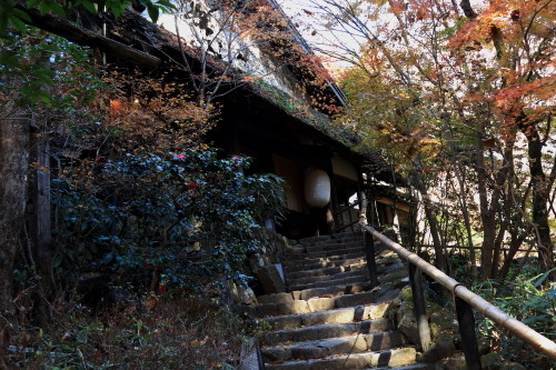 f:id:isoroku0723:20161210121331j:image f:id:isoroku0723:20161210121331j:image