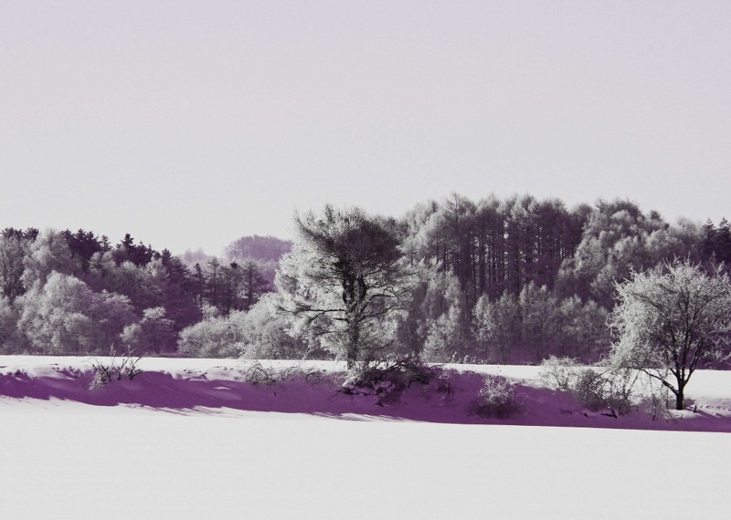冬の風景2-2