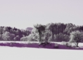冬の風景2-2