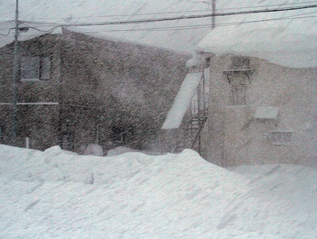 数年ぶりの強烈な猛吹雪 居候の光 数年ぶりの強烈な猛吹雪 居候の光