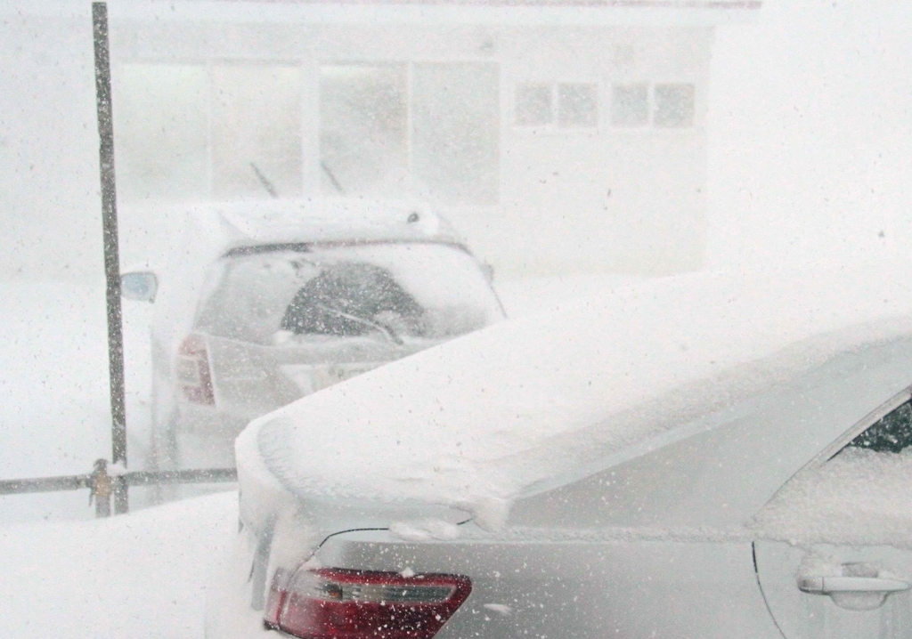 数年ぶりの強烈な猛吹雪 居候の光 数年ぶりの強烈な猛吹雪 居候の光